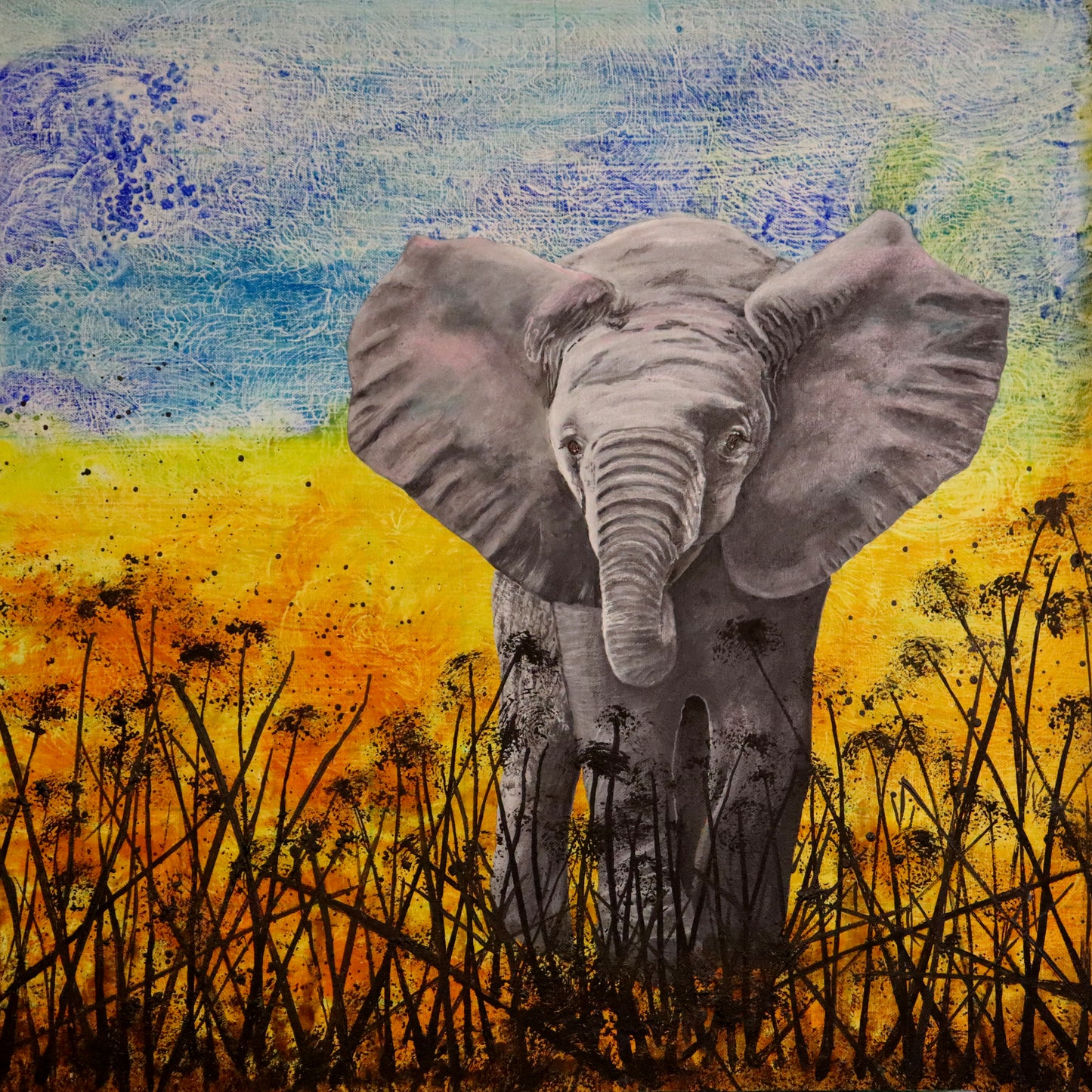 Baby Elephant - Original
