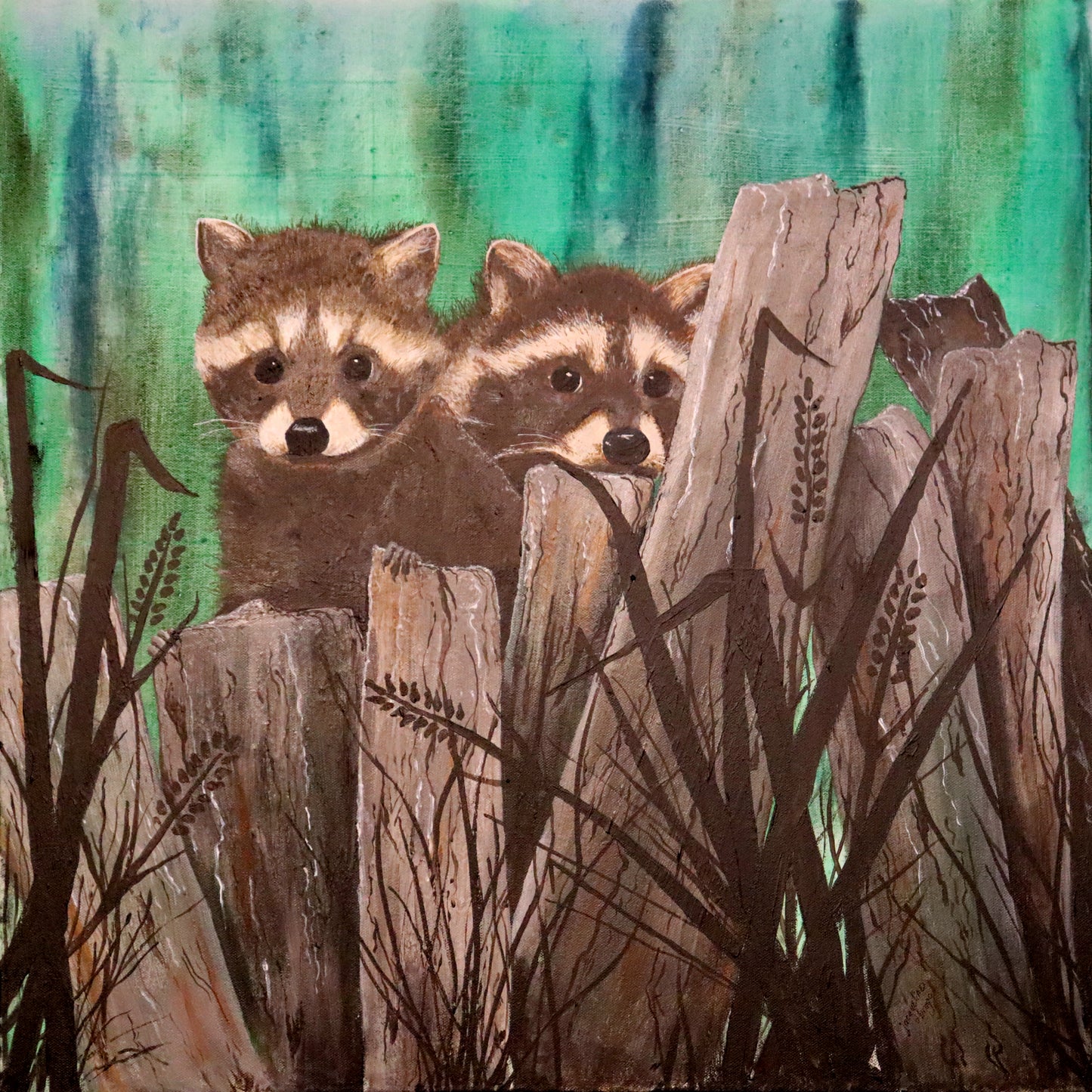 Cute Raccoons - Original